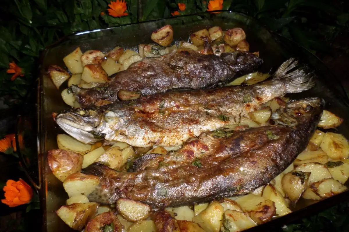 Gebackene Forelle mit Kartoffeln - Rezept | Bonapeti.de