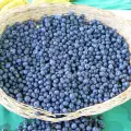 Wann und warum man Acai Beeren konsumieren sollte