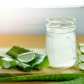Wie macht man Aloe Vera Saft?