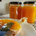 Aprikosenmarmelade mit einem Hauch von Vanille