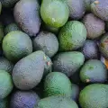 Woran erkenne ich, ob eine Avocado verdorben ist?