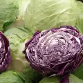 Lutein und Zeaxanthin