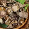 Wie man Shiitake Pilze trocknet