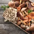 Sollten Pilze geschält und gereinigt werden und wenn ja, wie?