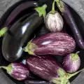 Was enthält eine Aubergine?