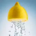 Was enthält eine Zitrone?