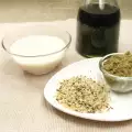 Hanfmilch