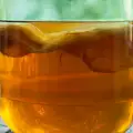 Kombucha - der zur Kultur gewordene Teepilz