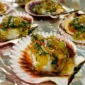 Jakobs Muscheln im Ofen
