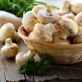 Wie blanchiert man Champignons?