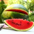 Wie viele Kalorien hat eine Wassermelone?