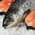 Für wie lange kann man Fisch einfrieren?
