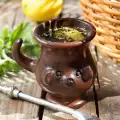 Yerba Mate - das geheime Getränk mit wundersamen Eigenschaften