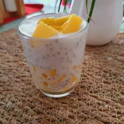 Chiasamen Cremes mit Mango und Kokosnussmilch