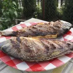 Gegrillter Fisch mit Olivenöl