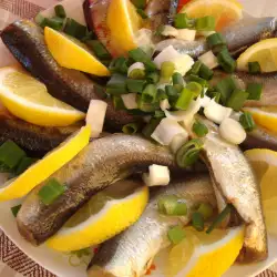 Eingelegter Fisch mit Olivenöl