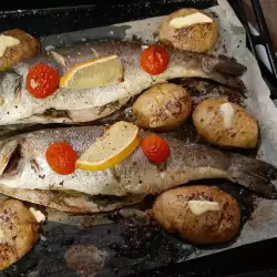 Wolfsbarsch