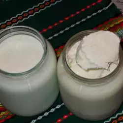 Milchprodukte mit Joghurt
