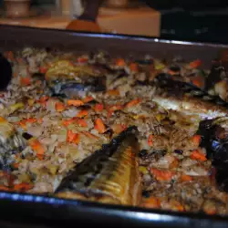 Makrele im Backofen mit Reis