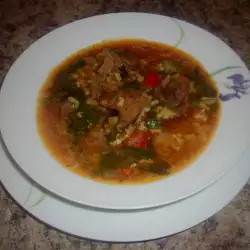 Rindfleischeintopf mit Spinat und Reis