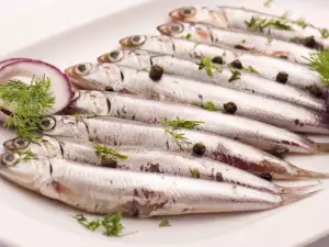 Anchovis