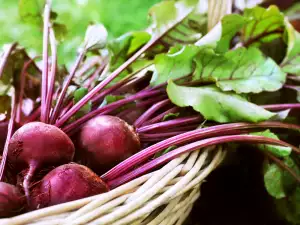 Warum sollte man mehr Rote Bete essen?