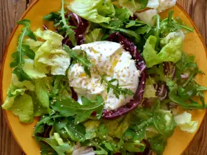 Grüner Salat mit Burrata