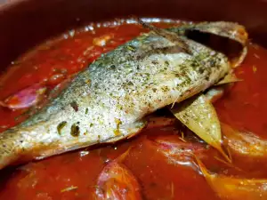 Dorade in Tomatensoße im Ofen