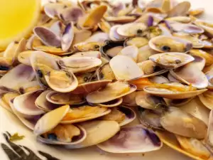 Gebratene Donax Muscheln