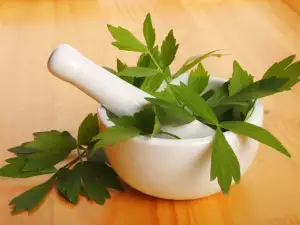 Liebstöckel