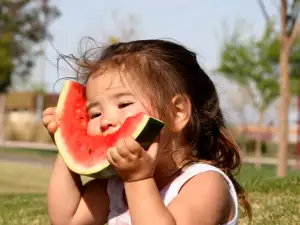 Sind Wassermelonenkerne nützlich?