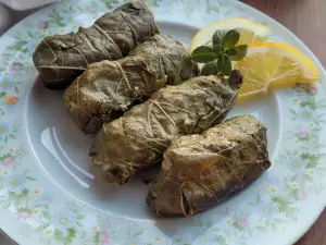 Griechische Dolmades