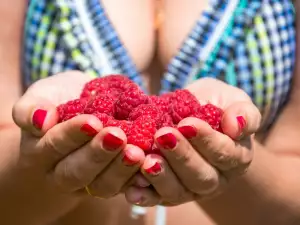 Warum sollten wir Himbeeren essen?