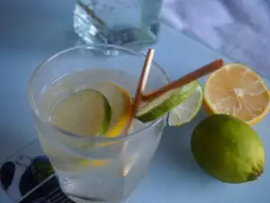 Gin Fizz Cocktail