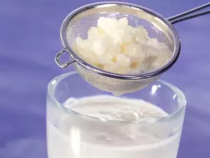 Kefir