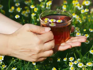 Warum ist es wichtig regelmäßig Kamillentee zu trinken?