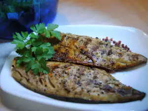 Aromatisch gegrillte Makrelen