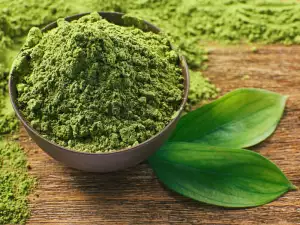 Was ist Matcha?