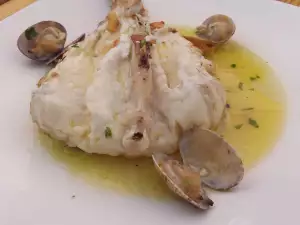 Seeteufel mit Muscheln