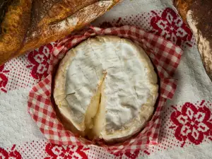 Neufchâtel Käse