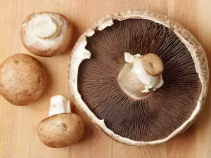 Portobello Pilze - der leckere Pilz, der unsere Taille schlank hält