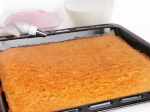 Pandispan Kuchenboden