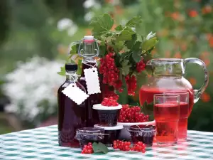 Johannisbeersirup ohne Kochen