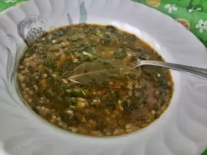 Spinatsuppe mit Reis und Karotten