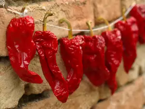 Wie trocknet man Paprika für den Winter?