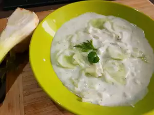 Türkischer Joghurtsalat mit Fenchel