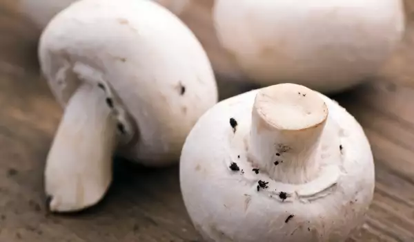 Wie lagert man frische Pilze im Gefrierschrank?