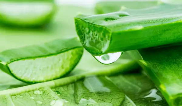 Aloe Vera Gel