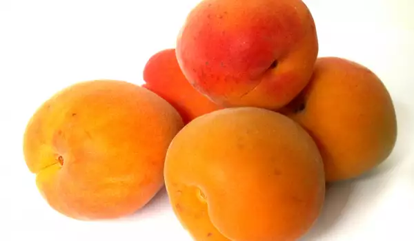 Frische Aprikosen