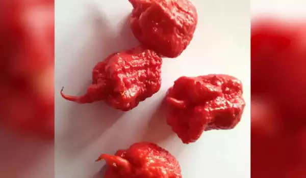 Die schärfsten Sorten von Peperoni